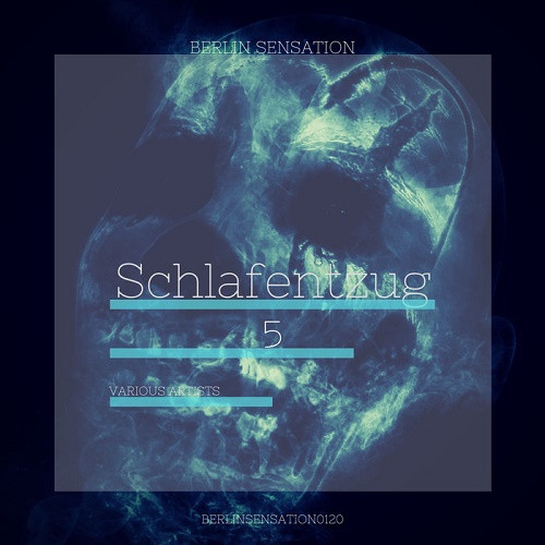 Schlafentzug Vol.5 The Psy-Goa & Progressive Trance Collection (2020)