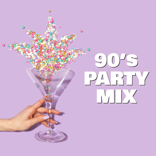 Various Artists - 90s Party Mix (2020)