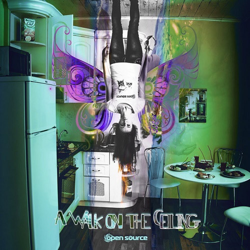 Open Source - A Walk on the Ceiling (2020)