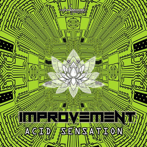 Improvement - Acid Sensation (Single) (2020)