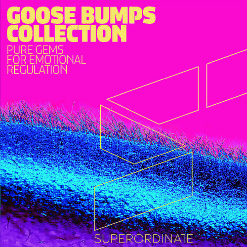 Goose Bumps Collection Vol. 4 (2020)
