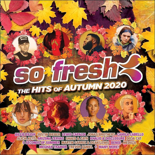 So Fresh: The Hits Of Autumn (2020)