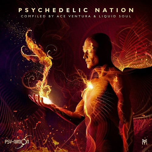 Psychedelic Nation (Compiled by Ace Ventura & Liquid Soul) (2020)