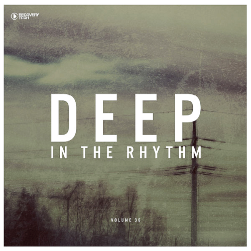 Deep In The Rhythm Vol. 36 (2020)