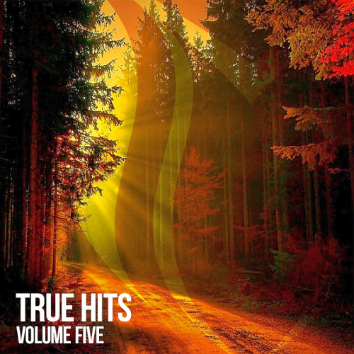 True Hits Vol. 5 (2020)