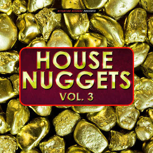 House Nuggets Vol. 3 (2020)