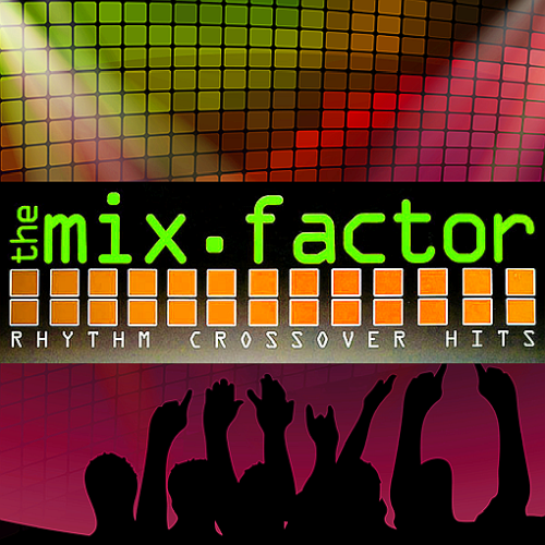 Mix Factor Volume 10-11 (Strictly Hits Vinyl Service: Vinyl, Compilation, Remix Service)