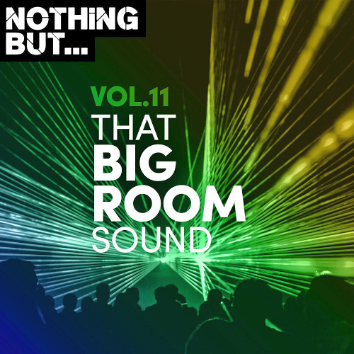 Nothing But... That Big Room Sound Vol. 11 (2020)