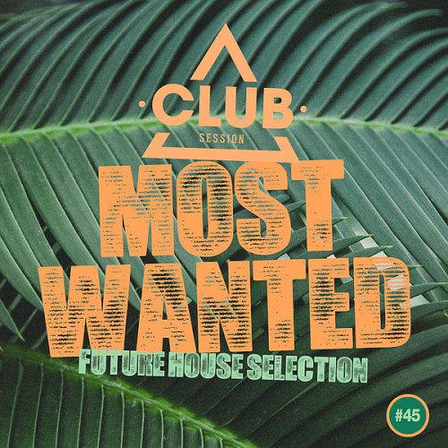 Most Wanted Future House Selection Vol. 45 (2020)