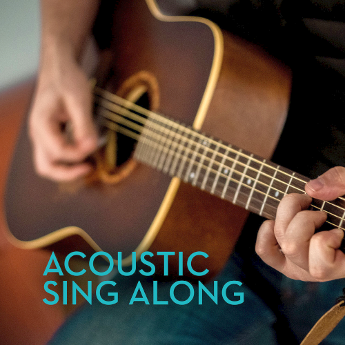 Acoustic Sing Along (2020)