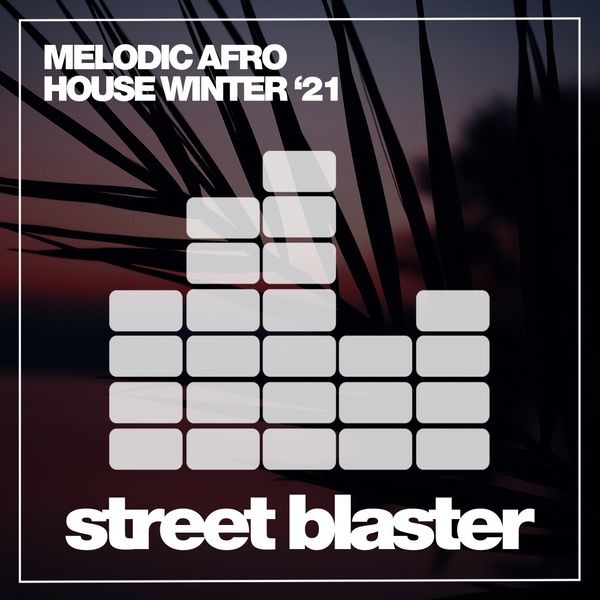 Melodic Afro House 21 (2020) FLAC