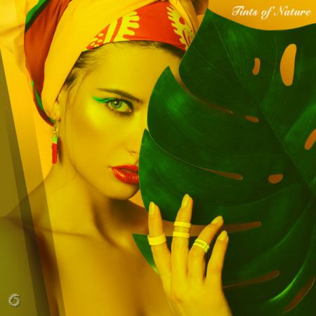 Tints of Nature (2020) FLAC