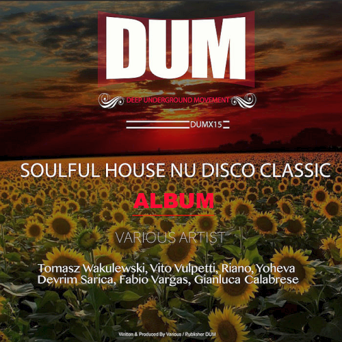 Soulful House Nu Disco Classic (2020)