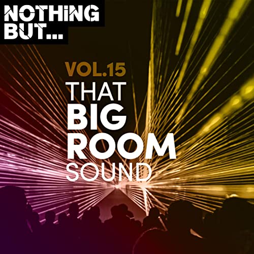 Nothing But That Big Room Sound Vol.15 (2021) FLAC