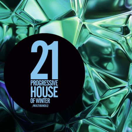21 Progressive House Of Winter (2021) FLAC