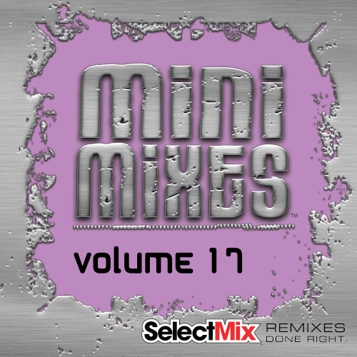 Select Mix Mini Mixes Vol. 17 (2021)