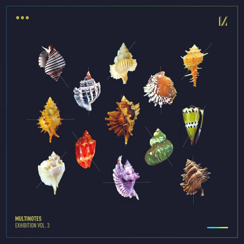 Various Artists - Exhibition Vol. 3 (2021)