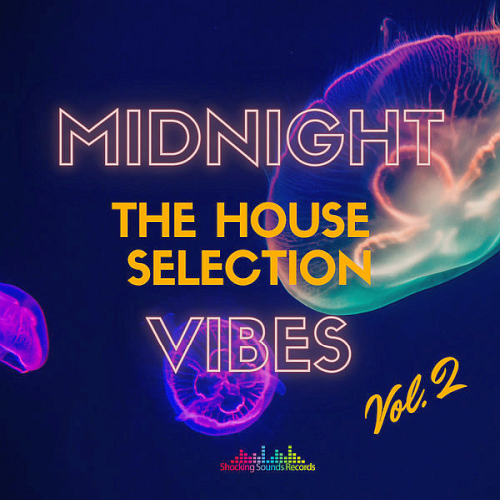 Midnight Vibes The House Selection Vol. 2 (2021)
