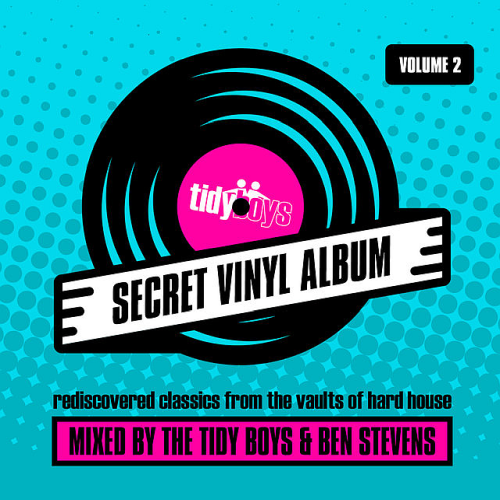 The Secret Vinyl Album Vol. 2 Mix Cut Tidy (2021)
