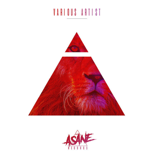 Various Artists Asane Records (2021)
