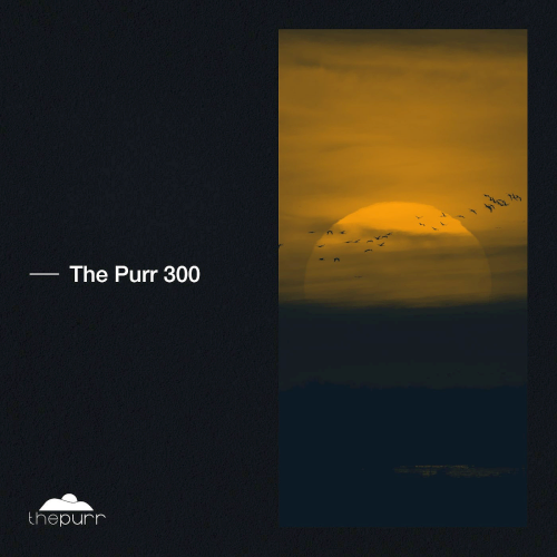 The Purr 300 (2021)