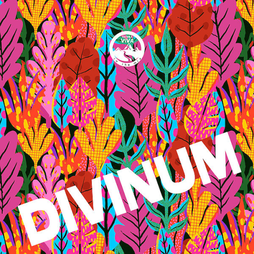 Divinum: Natura Viva In The Mix (2021)