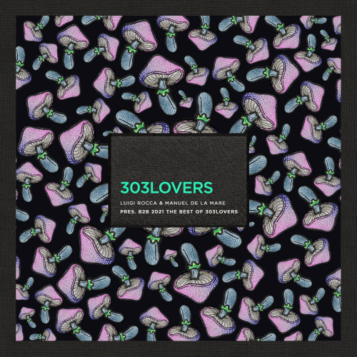 Luigi Rocca and Manuel De La Mare Present B2B 2021 Best Of 303Lovers (2021)