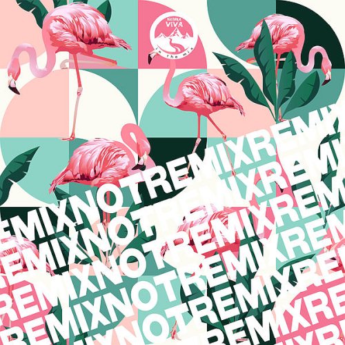 Various Artists - Remix Not Remix (2022)
