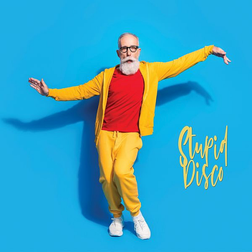 Various Artists - Stupid Disco (2022)