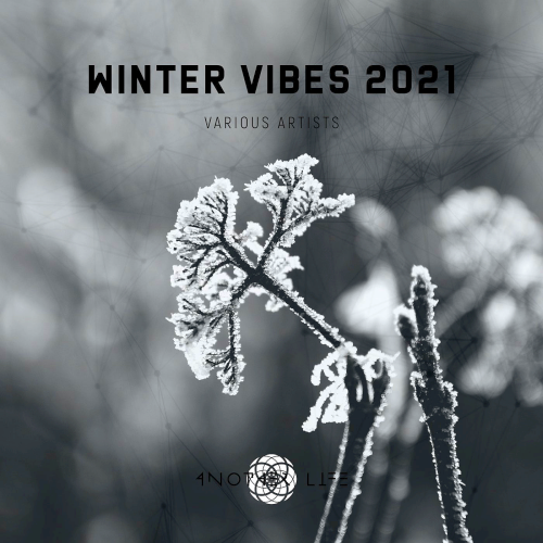 Winter Vibes (2021)