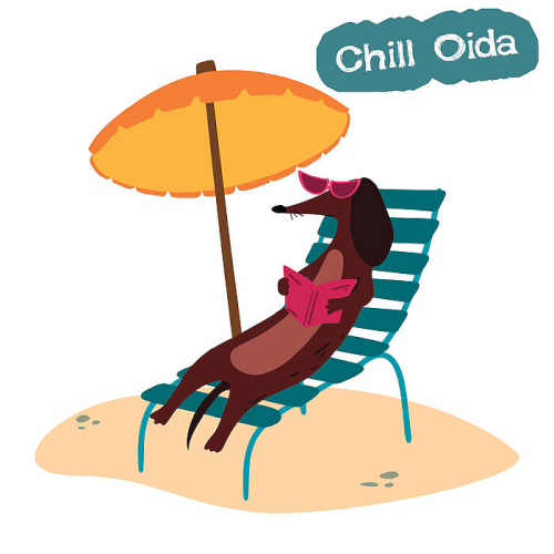 Various Artists - Chill Oida (2022)