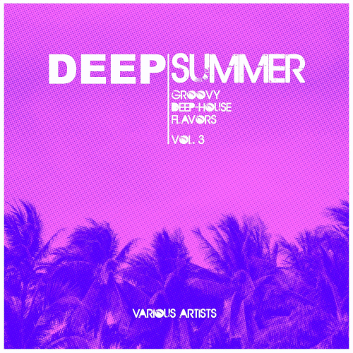 Deep Summer (Groovy Deep-House Flavors) Vol. 3 (2022)