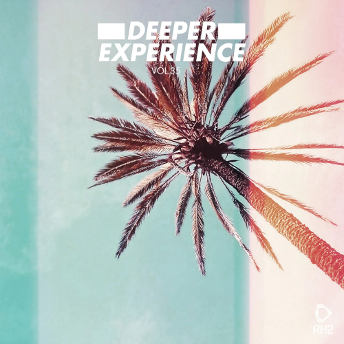 Deeper Experience Vol. 35 (2022)