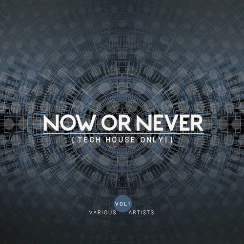 Now Or Never Vol. 1 (Tech House ONLY!) (2022)