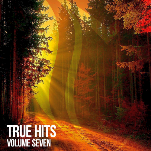 True Hits Vol. 7 (2022)
