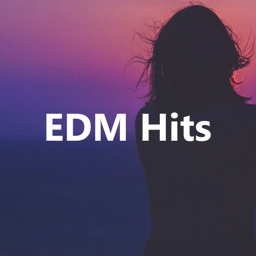 Various Artists - EDM HITS (2022)