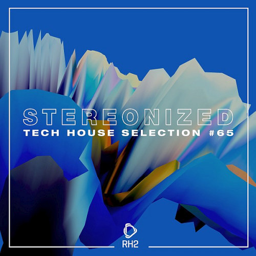 Stereonized: Tech House Selection Vol. 65 (2022)