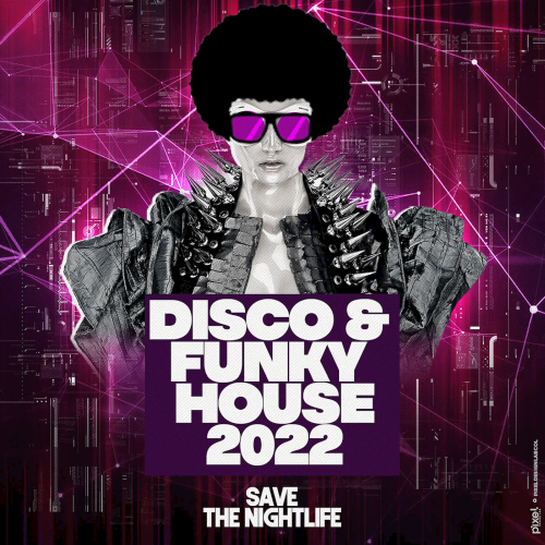 Disco And Funky House (2022)