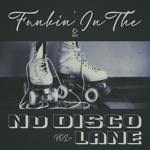 Funkin in the Nu Disco Lane Vol. 09 (2026)